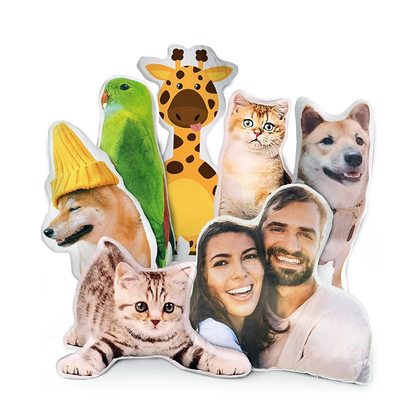 2026 New Personalized Pet Pill - 3D Printing Foto recension och pris