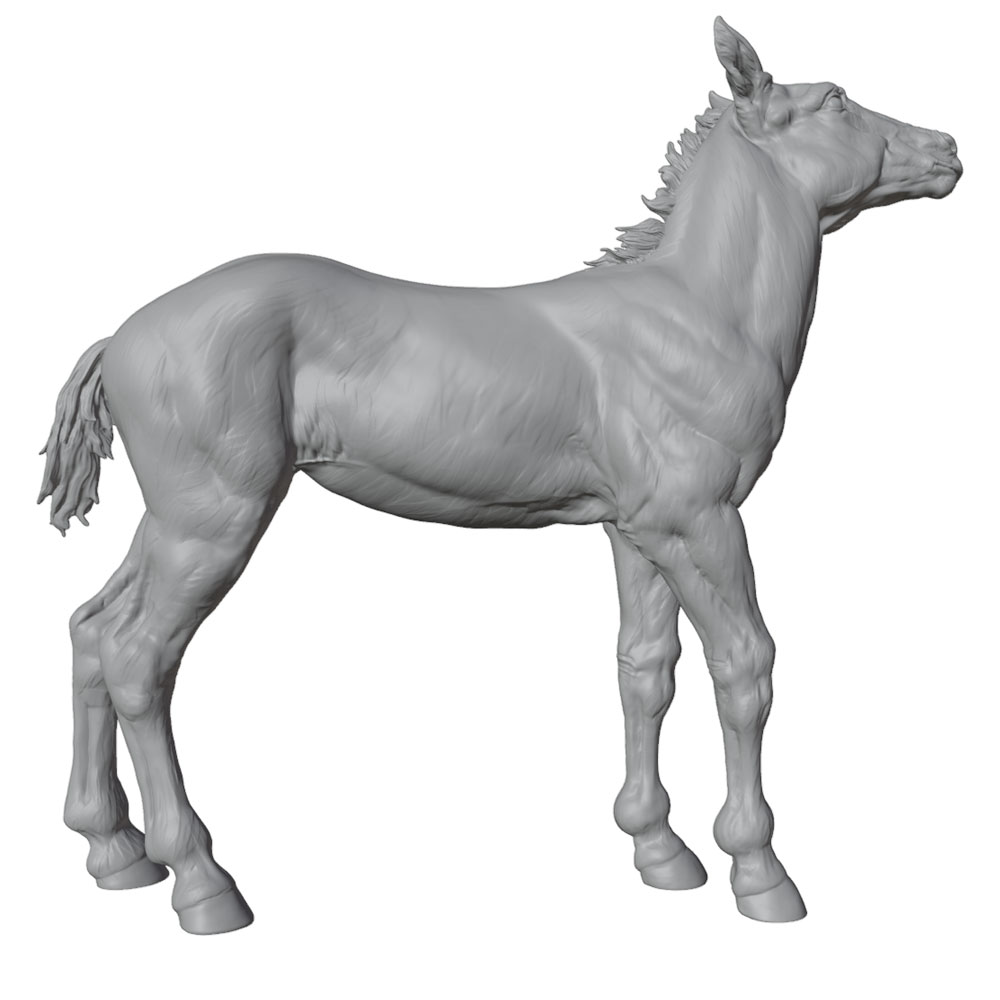 High-Detail Printing, Realisti - 3D Printing Article recension och pris