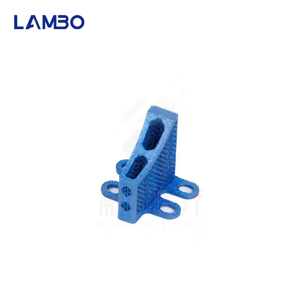 3D Printing TTA System Cage Bo - 3D Printing Orthopedics recension och pris