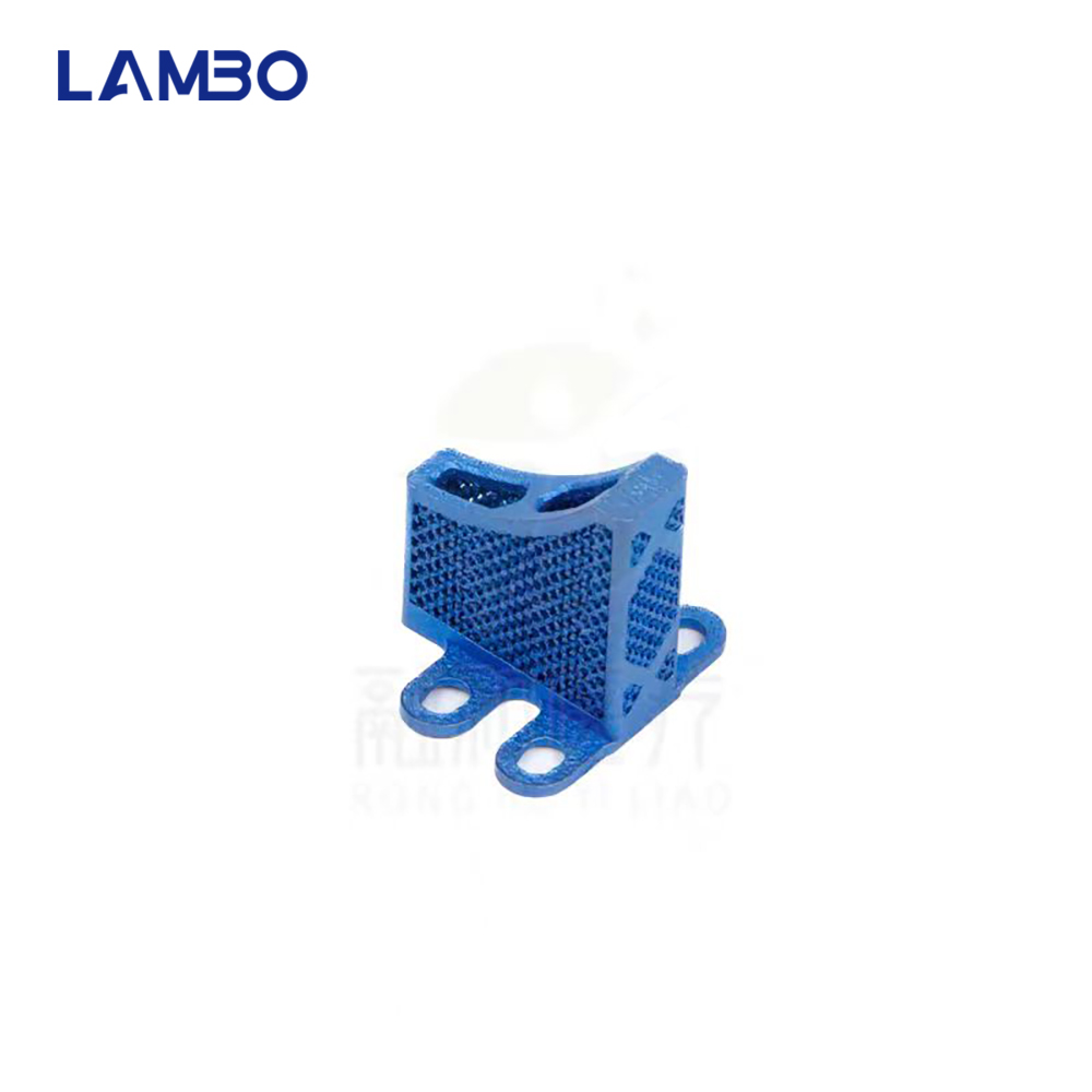3D Printing TTA System Cage Bo - 3D Printing Orthopedics recension och pris