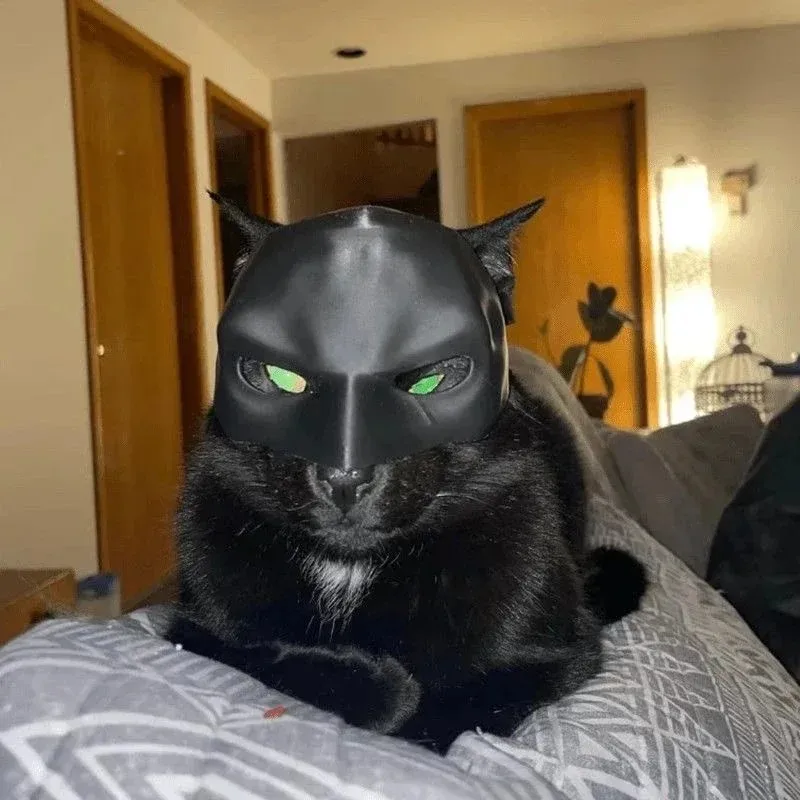 3D Printed Cat Avenger Mask Ba - 3D Printing Foto recension och pris