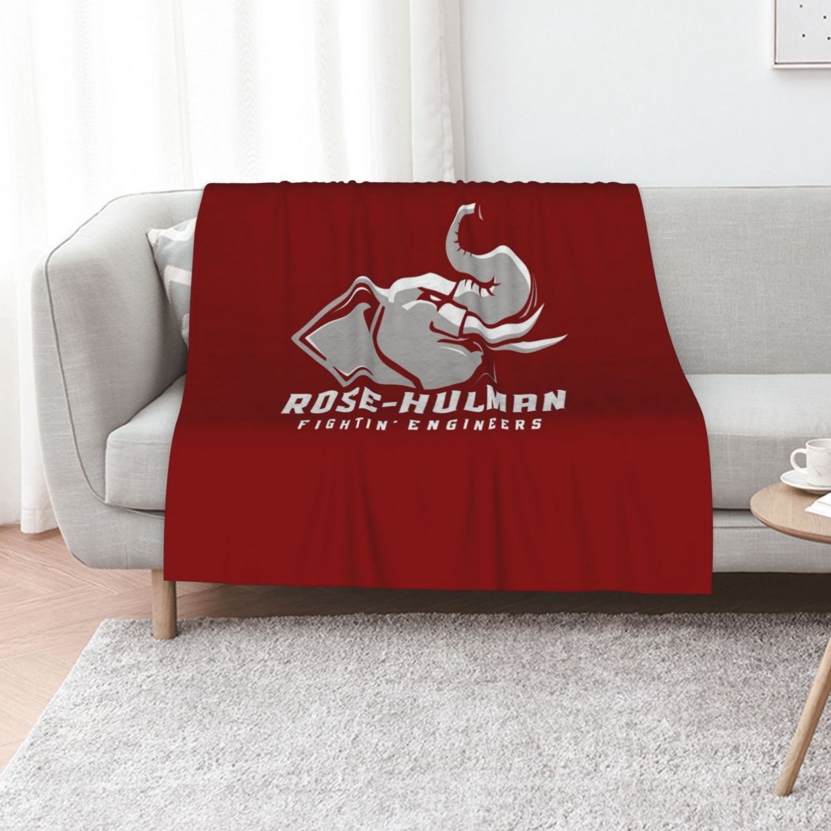 The Rose Hulman Fightin' Engin - 3D Printing Engineer recension och pris
